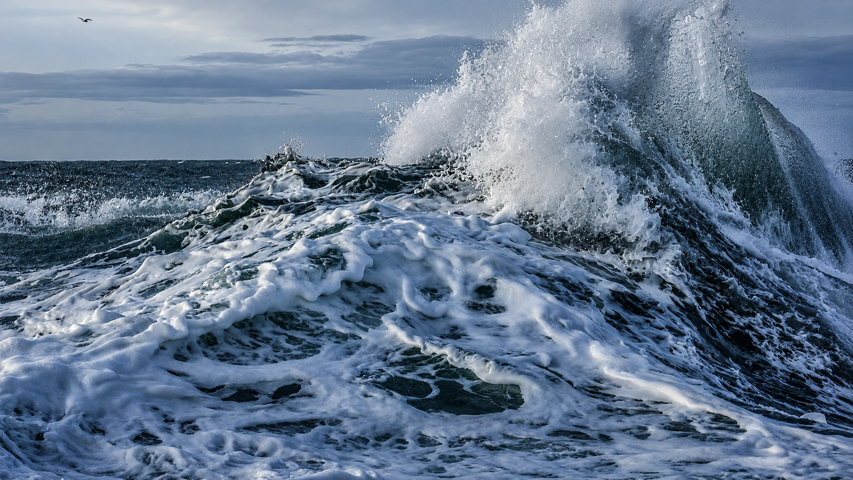Ocean Surface Temperatures Hit Record High as Scientists Warn of Climate Risks